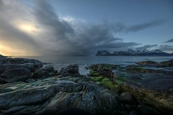 Comment organiser une visite des plantations de café au Vietnam à petit prix?