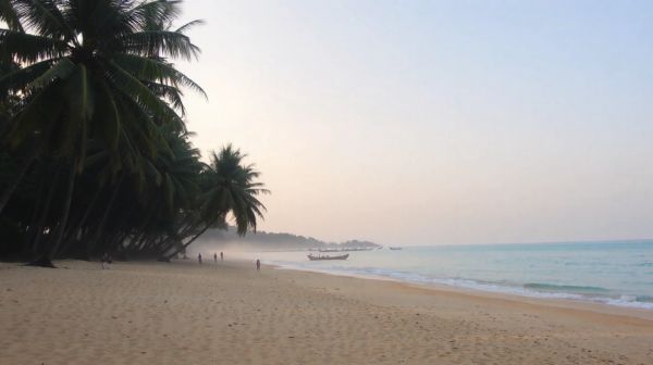 Séjour écoresponsable au Sri Lanka : découvrir l'île du thé